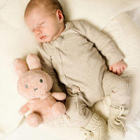 thumbnail: Little Dutch Nijntje knuffel 20cm pink flower