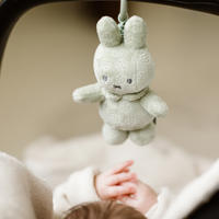 thumbnail: Little Dutch Nijntje trilfiguur green flower