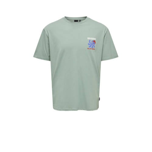 ONLY & SONS JUNIOR T-shirt lichtgroen Jongens Katoen Ronde hals Backprint - maat 170/176 afbeelding