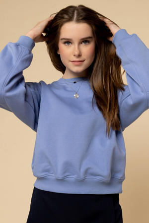 sweater blauw