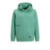 Petrol Industries hoodie groen