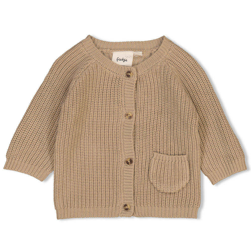Taupe jongens en meisjes Feetje grof gebreid vest The Magic is in You van katoen met effen, lange mouwen en ronde hals