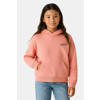 Cars hoodie met backprint roze