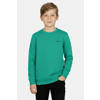 Cars sweater groen