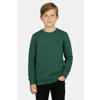 Cars sweater donkergroen