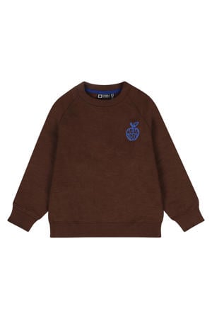sweater bruin