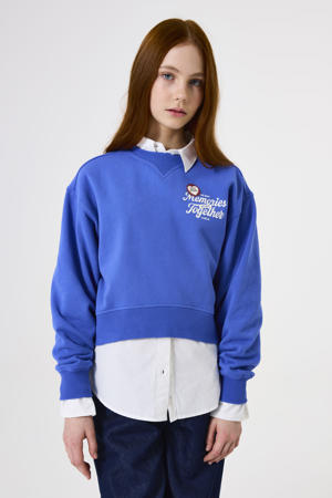 sweater blauw