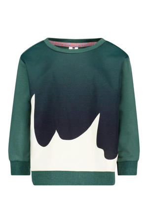 sweater groen