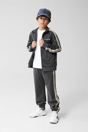regular casual broek grijs