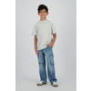 Raizzed T-shirt grijs melange