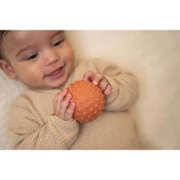 thumbnail: Little Dutch  Farm Zintuig Ballen set 3 stuks