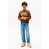 Tommy Hilfiger sweater bruin