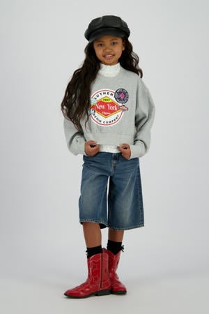 sweater grijs