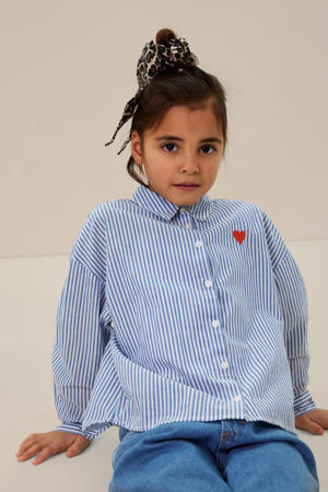 blouse lichtblauw