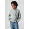 Levi's sweater grijs