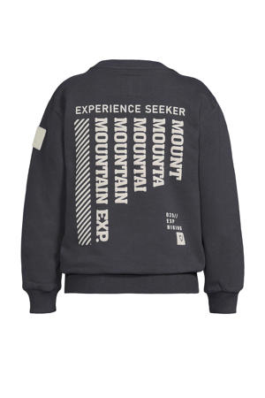 sweater grijs