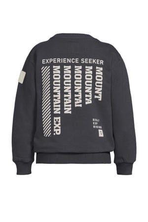 sweater grijs