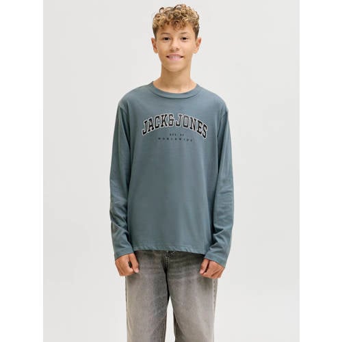 JACK & JONES JUNIOR longsleeve grijsblauw Jongens Katoen Ronde hals Logo - maat 152 afbeelding