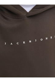 thumbnail: JACK & JONES JUNIOR hoodie donkerbruin