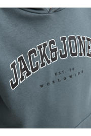 thumbnail: JACK & JONES JUNIOR hoodie grijsblauw