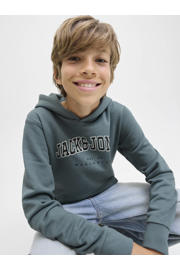 thumbnail: JACK & JONES JUNIOR hoodie grijsblauw
