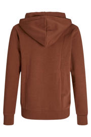 thumbnail: JACK & JONES JUNIOR hoodie roestbruin
