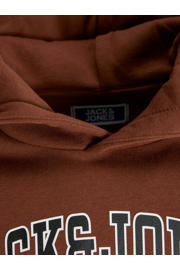 thumbnail: JACK & JONES JUNIOR hoodie roestbruin