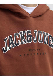 thumbnail: JACK & JONES JUNIOR hoodie roestbruin