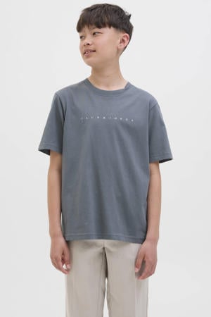 T-shirt grijsblauw