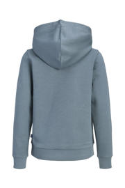 thumbnail: JACK & JONES JUNIOR hoodie grijsblauw