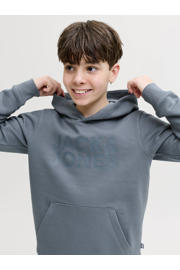 thumbnail: JACK & JONES JUNIOR hoodie grijsblauw
