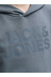 thumbnail: JACK & JONES JUNIOR hoodie grijsblauw