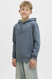 thumbnail: JACK & JONES JUNIOR hoodie grijsblauw