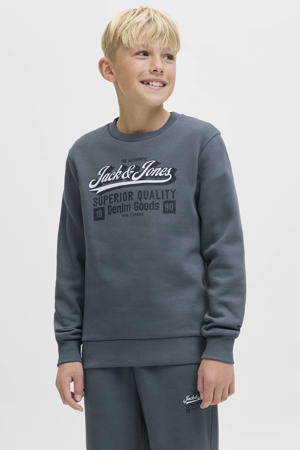 sweater grijsblauw