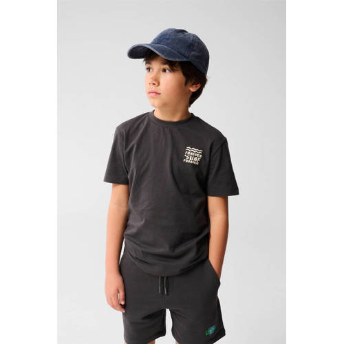 Shoeby T-shirt grijs Jongens Katoen Ronde hals Backprint - maat 110/116 afbeelding