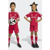 adidas Performance Junior Liverpool FC voetbalset Thuis