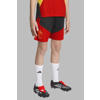 adidas Performance België sportshort zwart
