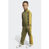 adidas Originals trainingspak Firebird olijfgroen