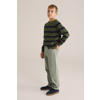 WE Fashion Blue Ridge gestreepte trui groen rib gebreid