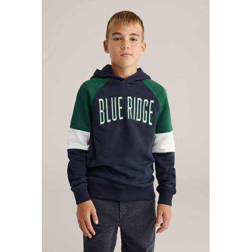 WE Fashion Blue Ridge hoodie Sweater Blauw Meerkleurig - maat 170/176 afbeelding