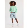 America Today sweater mintgroen