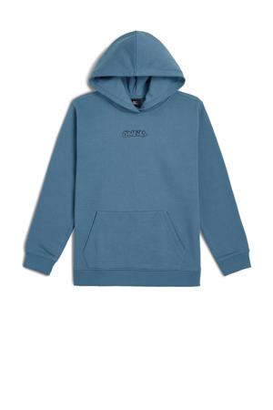 hoodie grijsblauw
