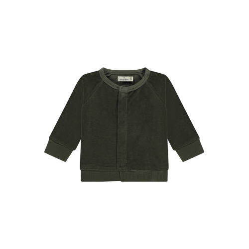 A Tiny Story sweatvest groen Jongens Katoen Ronde hals Effen - maat 56 afbeelding