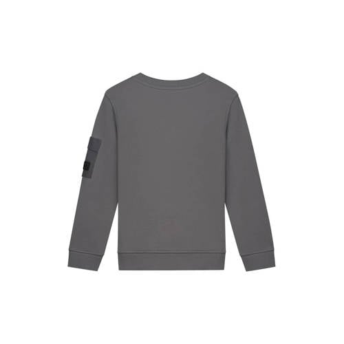 Malelions sweater Grijs Jongens Katoen Ronde hals Effen - maat 176 afbeelding