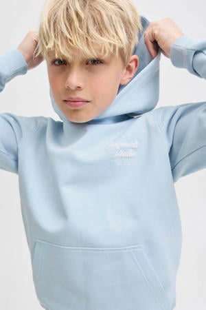 hoodie met backprint lichtblauw
