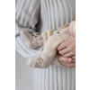 Feetje babybroek crème