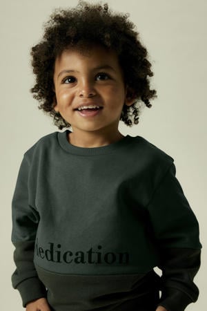 sweater grijsblauw