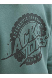thumbnail: JACK & JONES JUNIOR hoodie groen