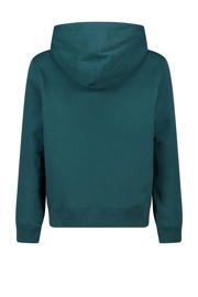 thumbnail: Groene jongens America Today hoodie van sweat materiaal met printopdruk, lange mouwen en capuchon