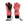 Sinner skihandschoenen Phoenix wit